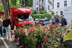 tagesfahrt-hamburg-friedhof-4