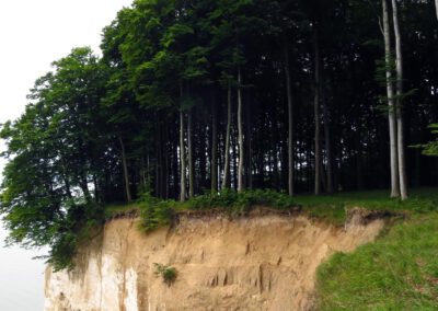 Baumwipfelpfad Rügen – 12.07.26