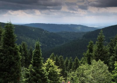 Thüringer Wald – 3 Tage – ab 09.10.