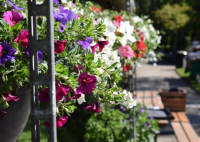 Gartenmesse: Park & Garden Country Fair – 05.06.26